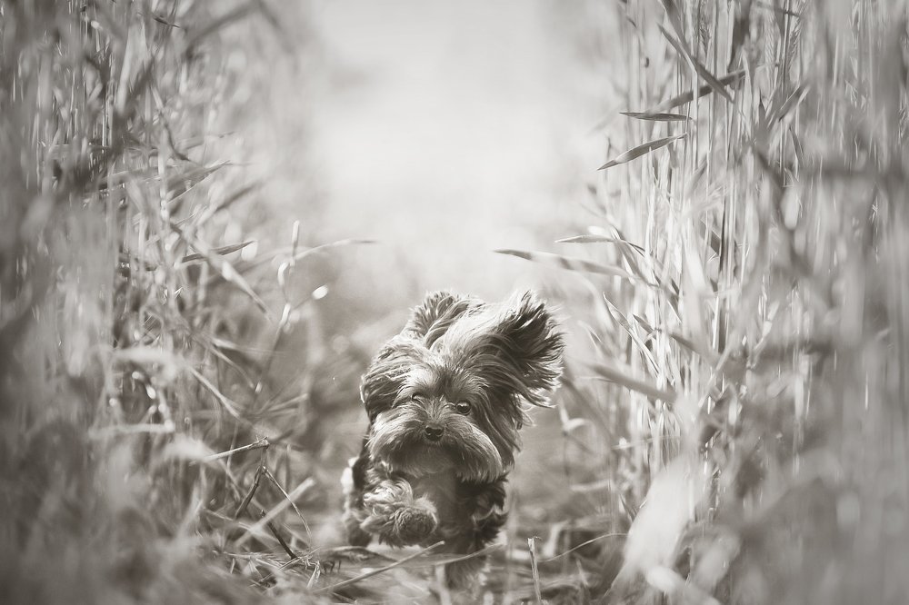 Photograph by Deise de Oliveira