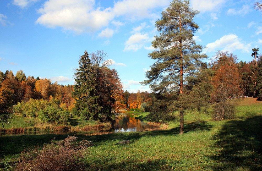 Photograph by Ирина Румянцева