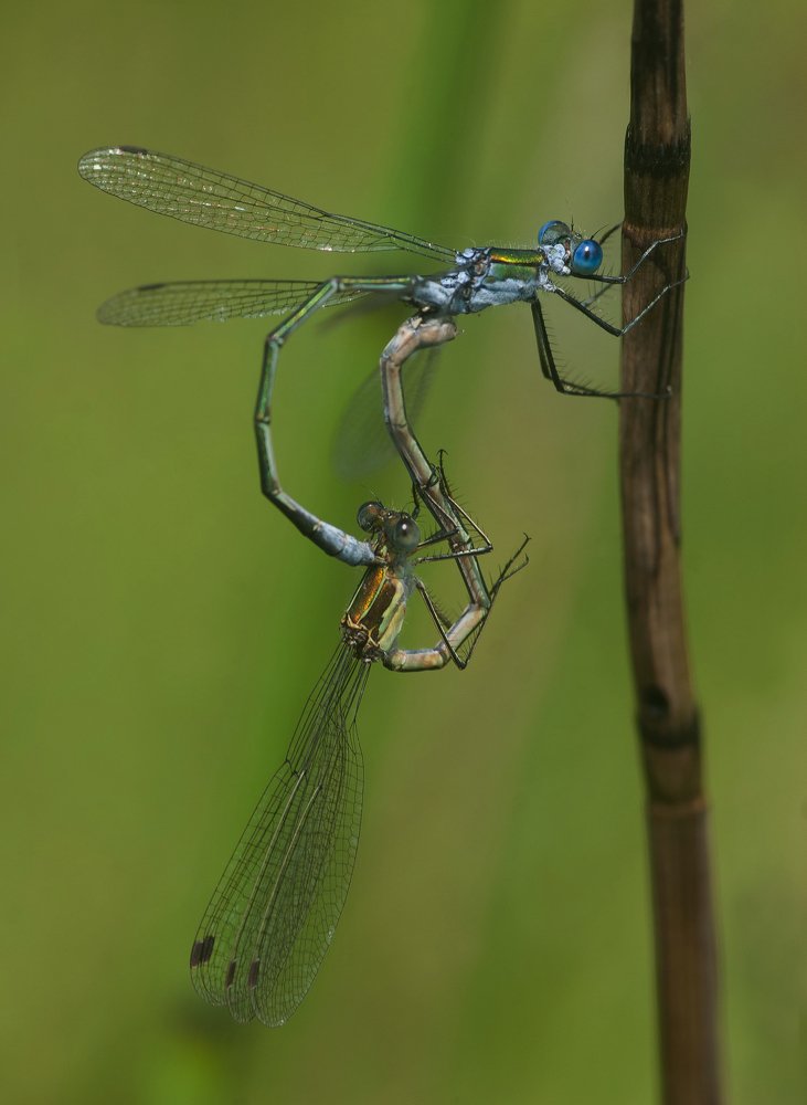 Photograph by Даркина Дарья