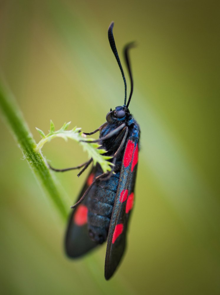 Photograph by Даркина Дарья