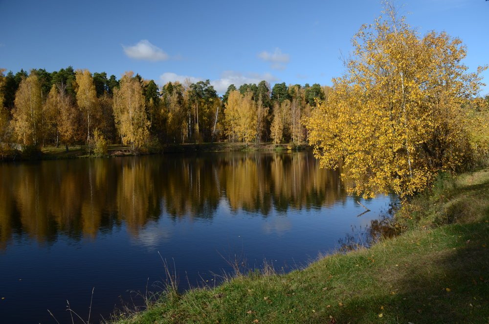 a walk through October