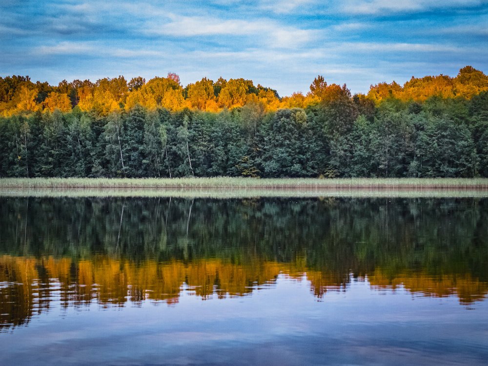 Photograph by Георгий Безбородов