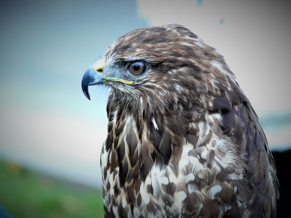 Photograph by Марина Игнатьева