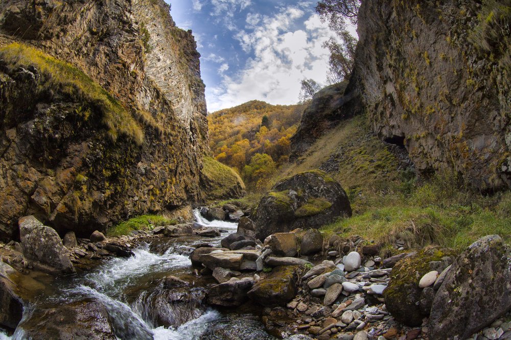 Photograph by РАСУЛ БОТАШЕВ