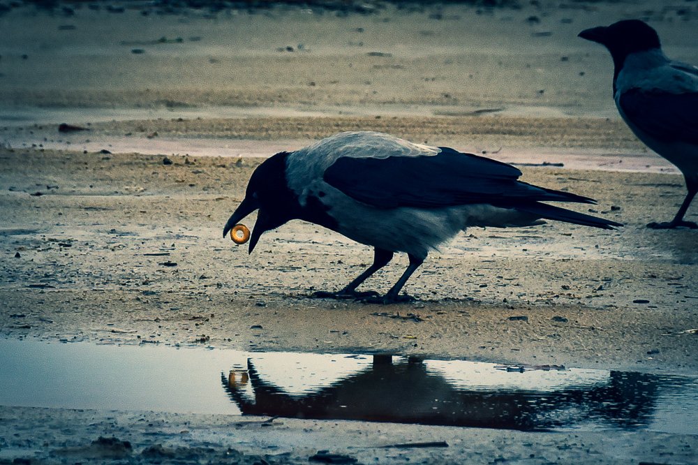 Photograph by Галина Баранова