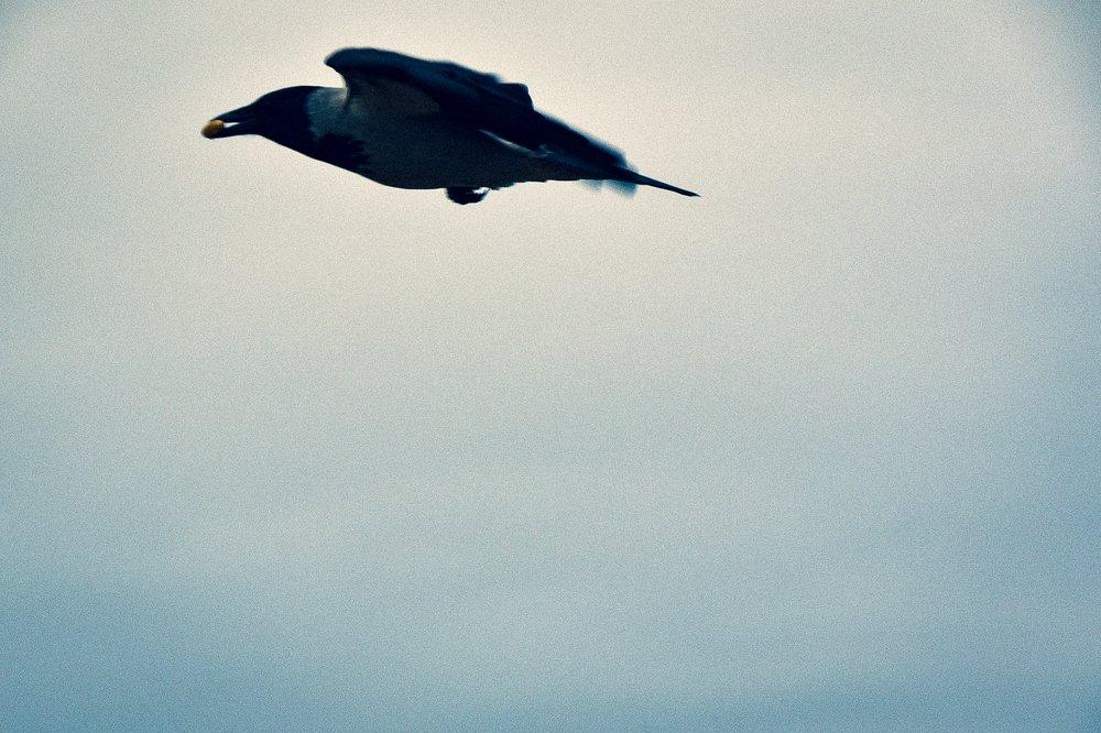 Photograph by Галина Баранова