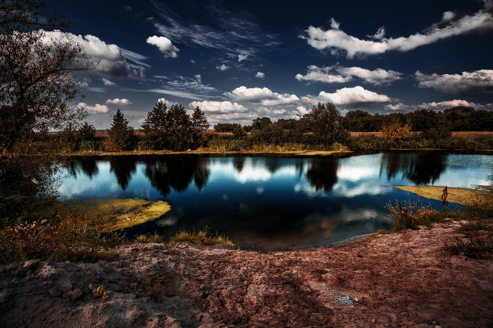 Река Цна. Тамбовская область. Россия/Tsna river. Tambov oblast. Russia