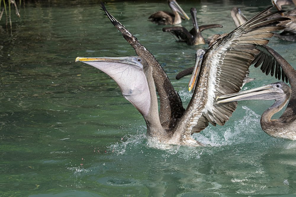 Photograph by Marina Mikhova