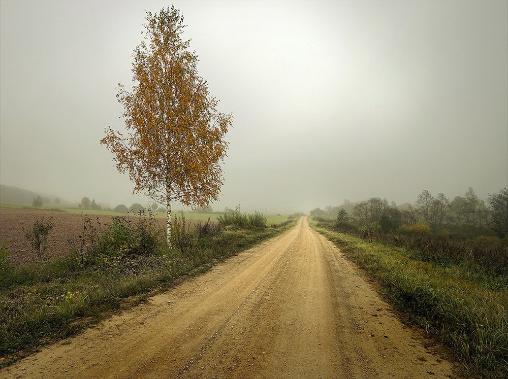 Дорога в осень