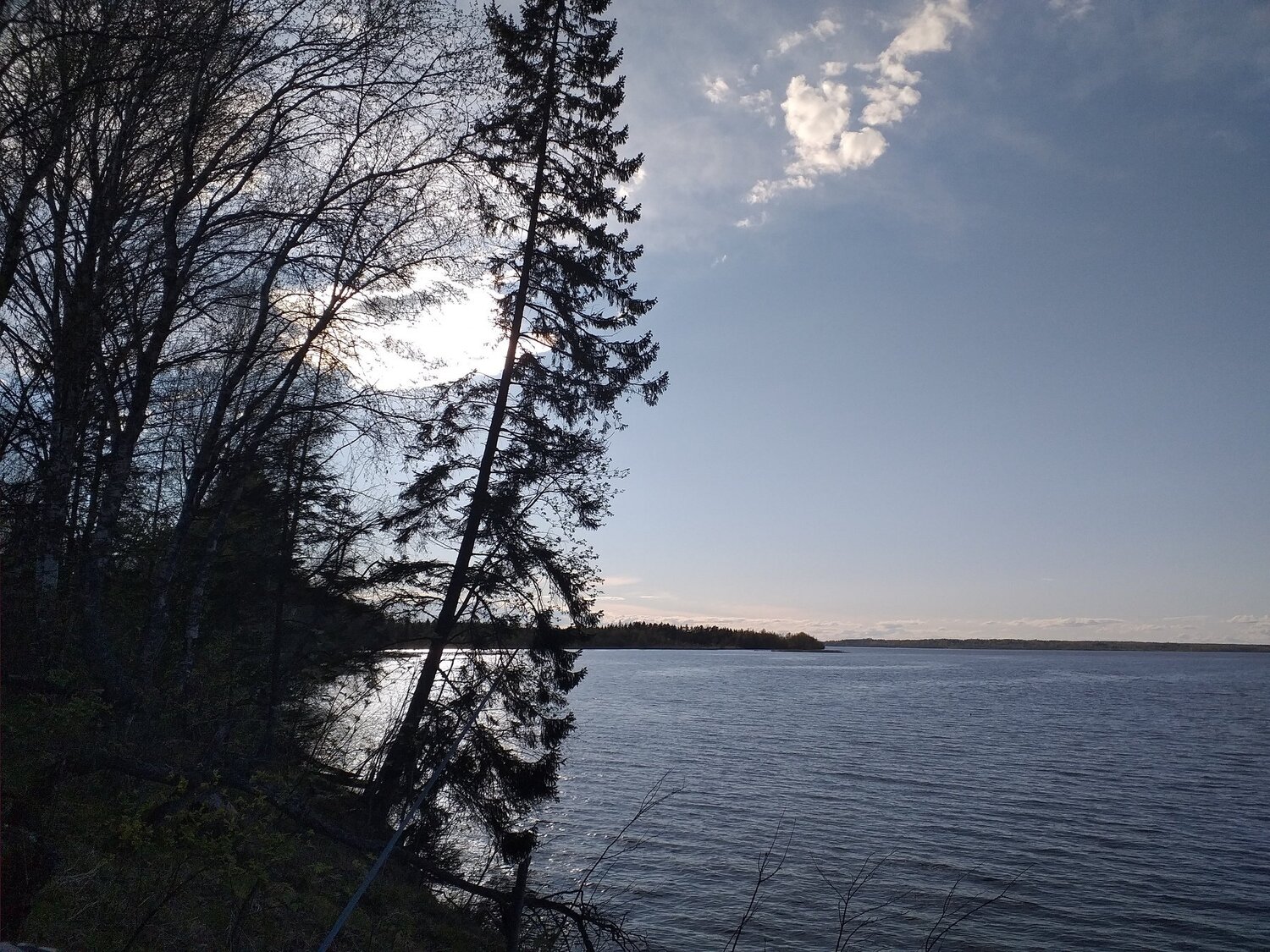 Photo #5107284