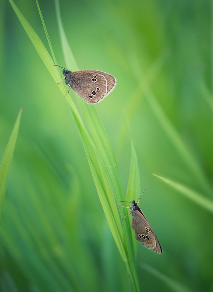 Photograph by Ольга Рагинская