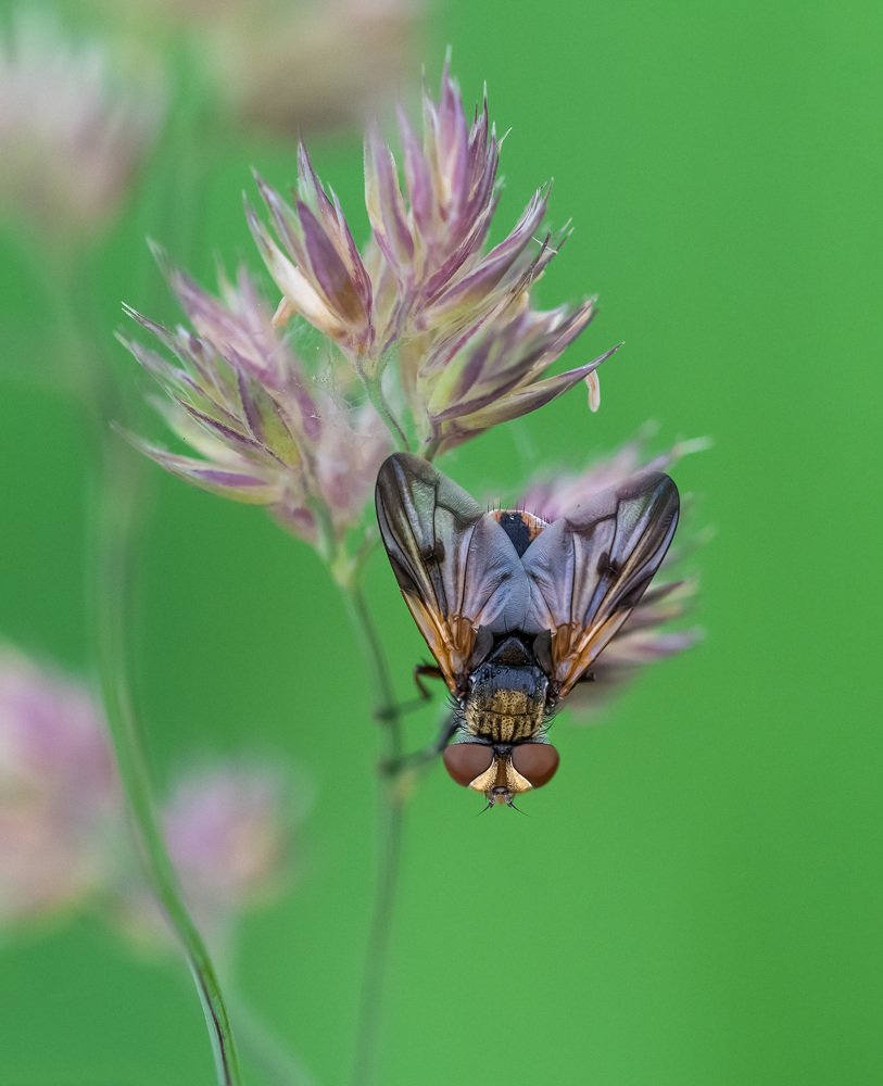 Photograph by Ольга Рагинская