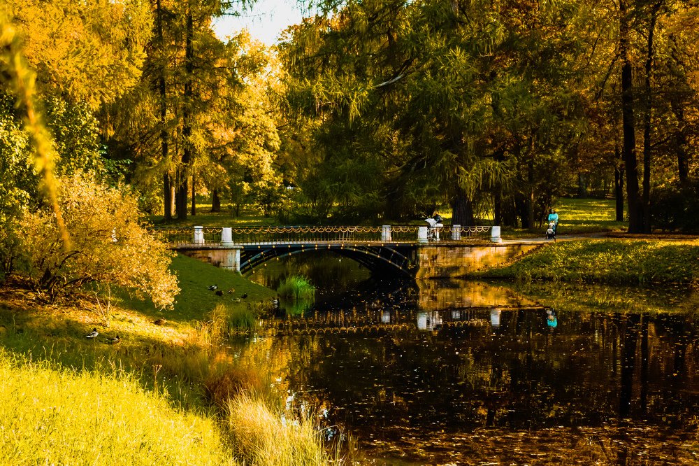 Photograph by Вероника Герман