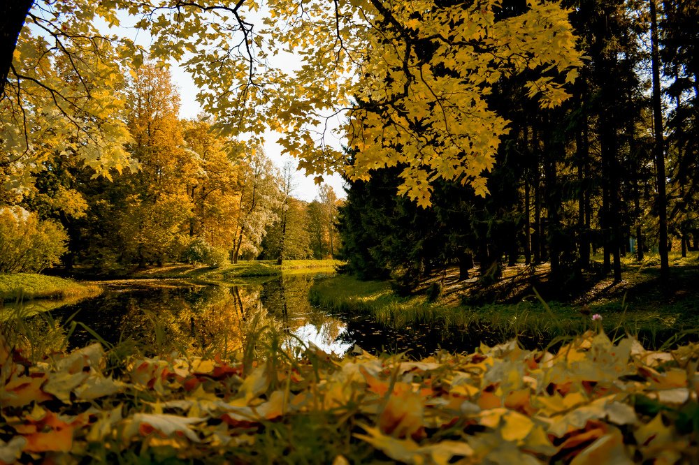 Photograph by Вероника Герман