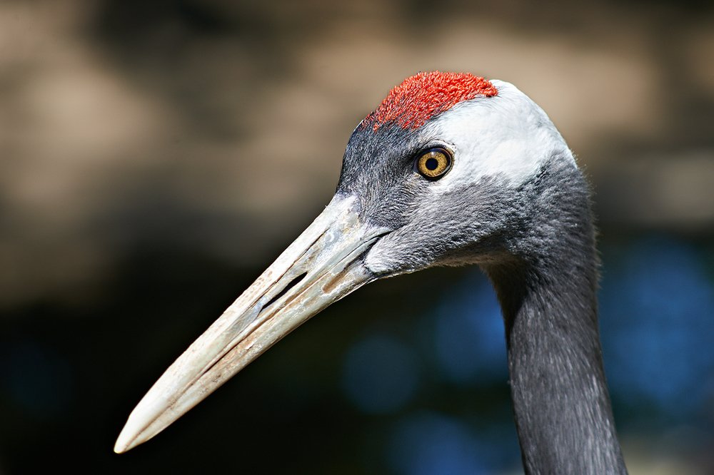 Photograph by Валерий