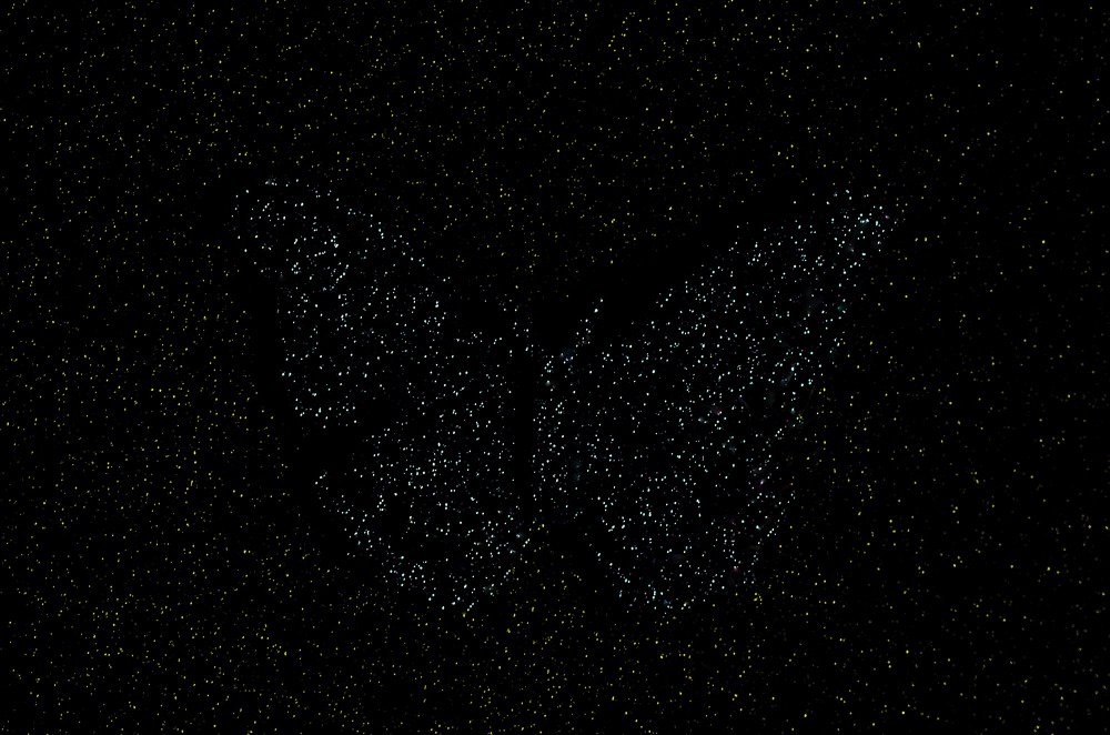 Photograph by Виктория Потапова