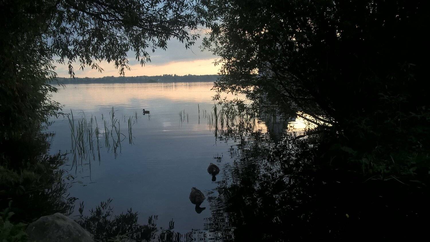 Photo #5107340