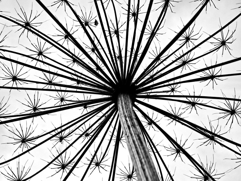 Photograph by Светлана Шмигельская