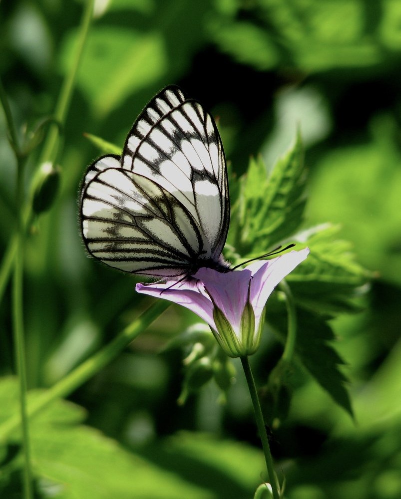Photograph by Инесса Юровских