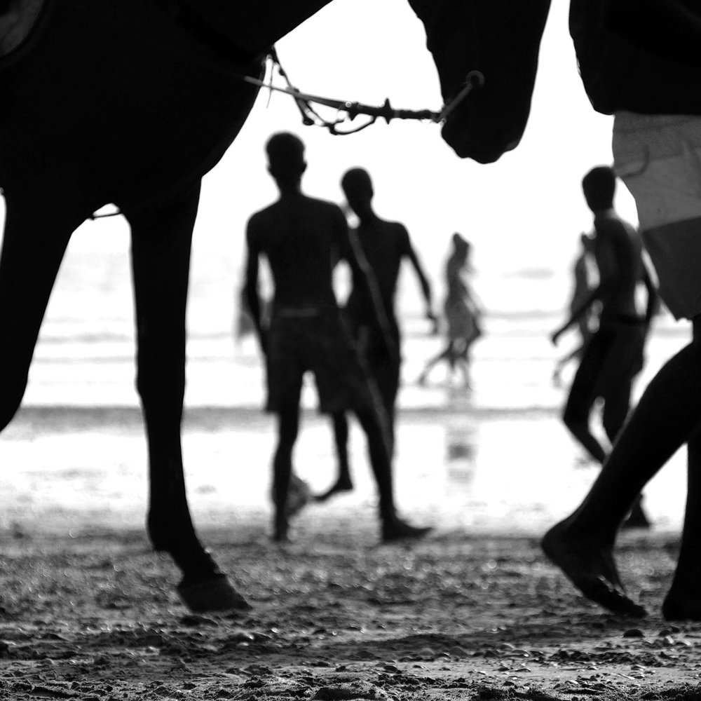 Photograph by Bouaidi Sylvie