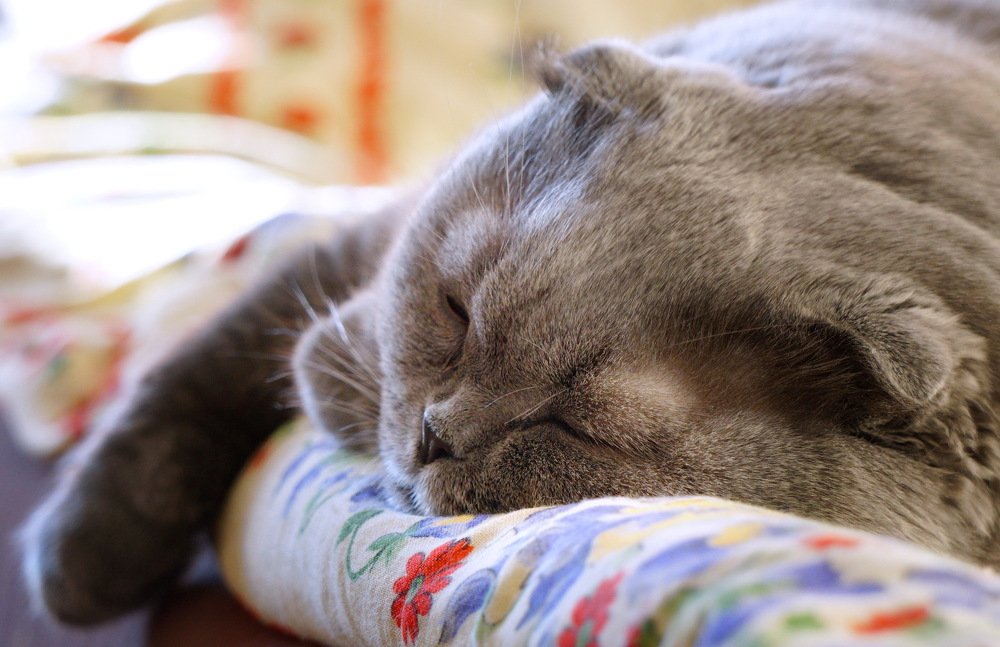 Тихий час....