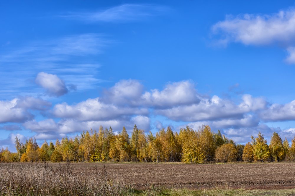 Осенний пейзаж
