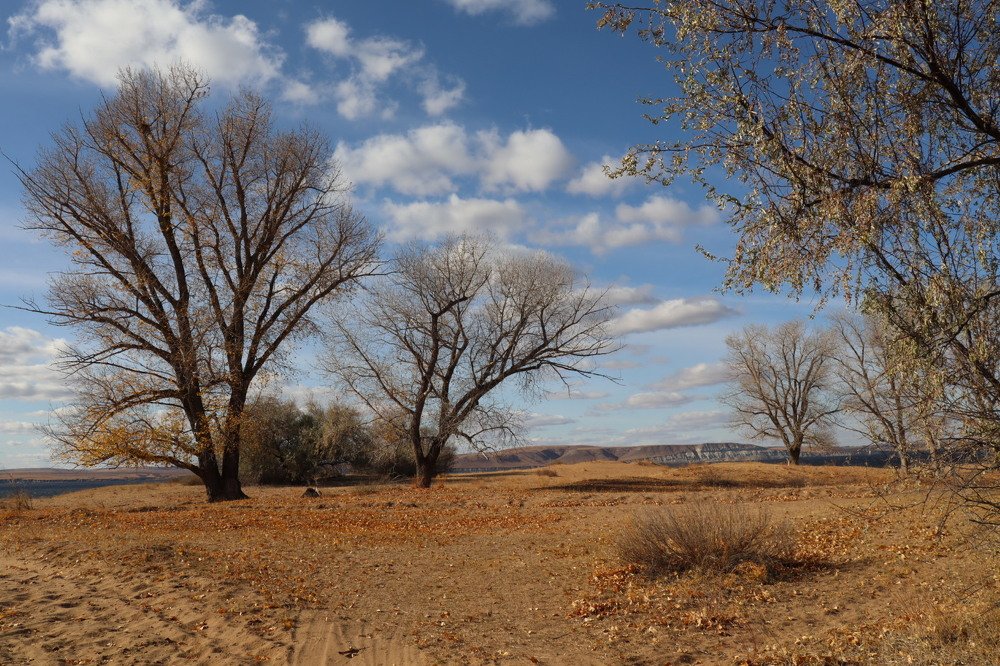 Photograph by Klimigo