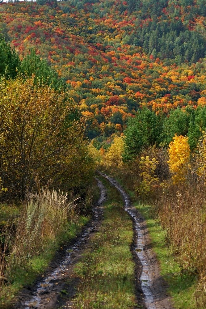 Photograph by Александр Попов