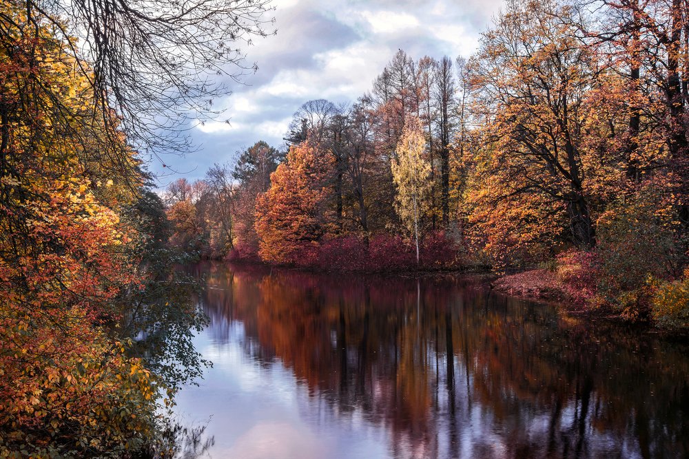 Photograph by Юлия Яровая