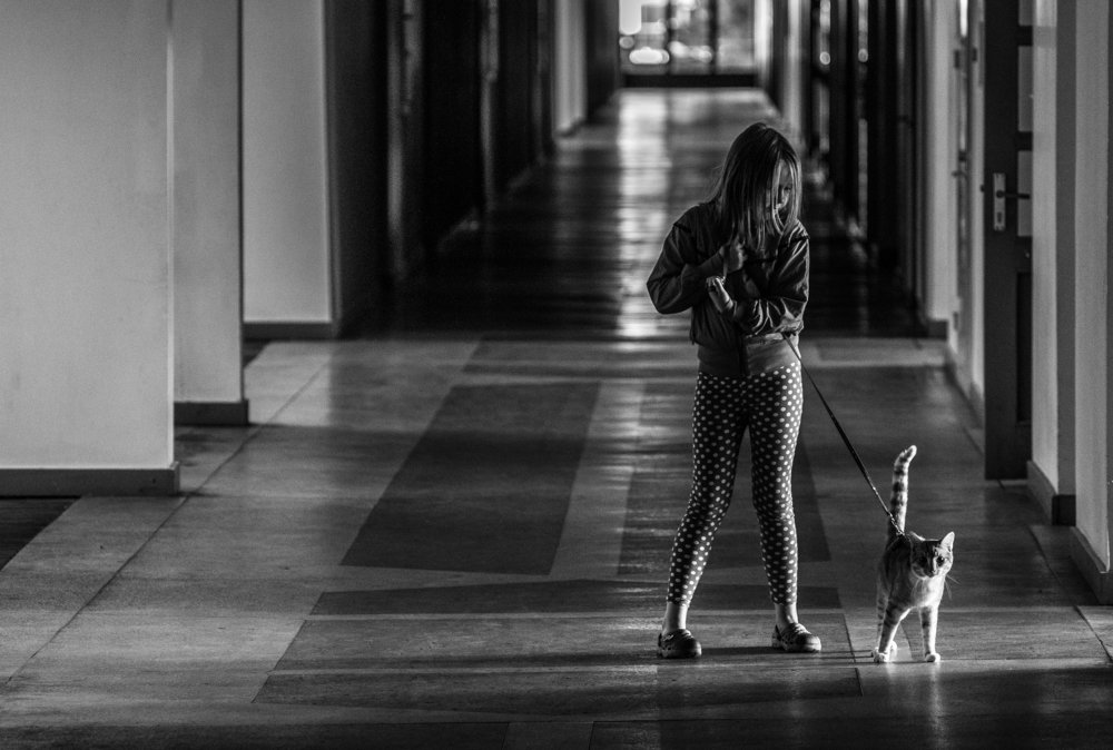 Фотография автора Eimar Kull