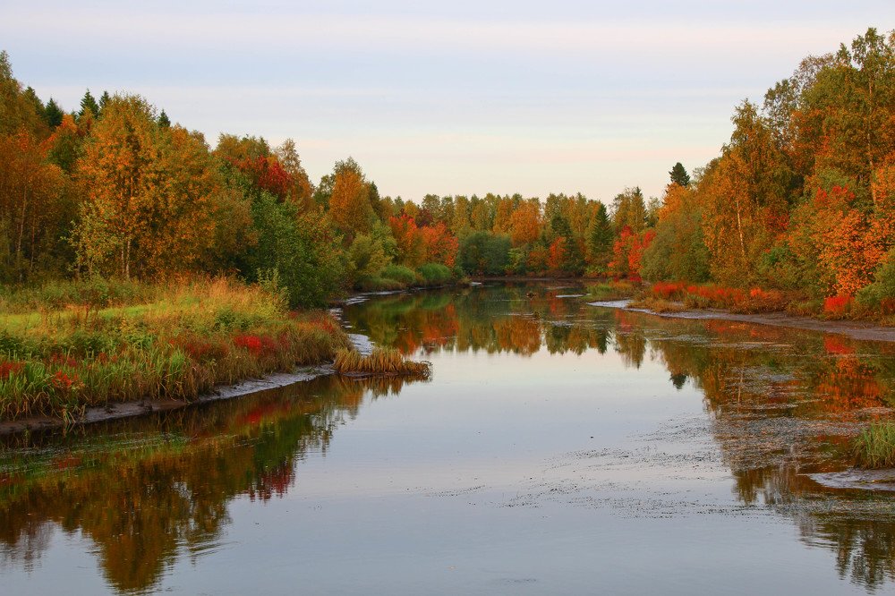Photograph by Александр Трифанов