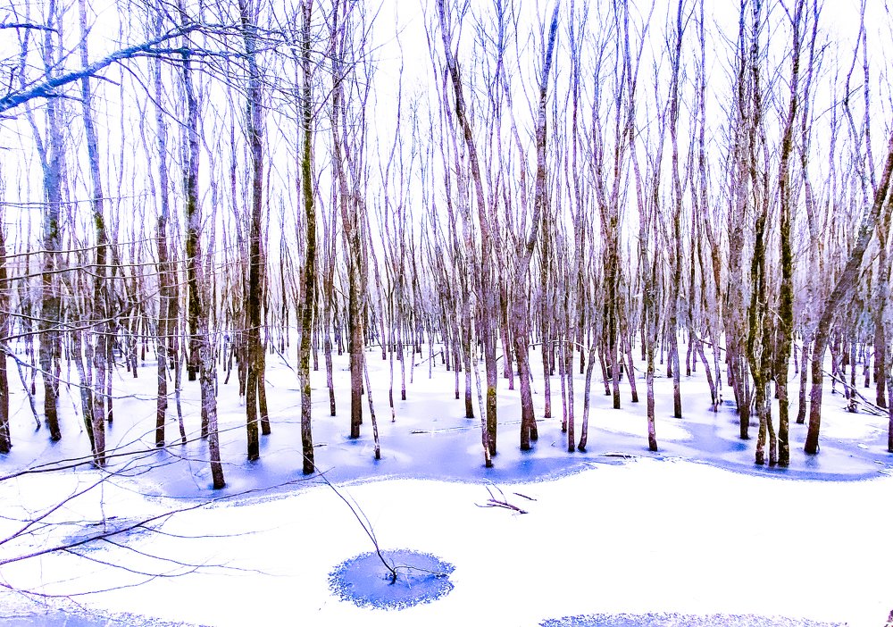 Photograph by LYUDMYLA POKRYSHEN