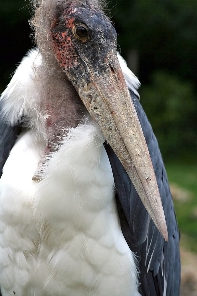 Photograph by Людмила Травина