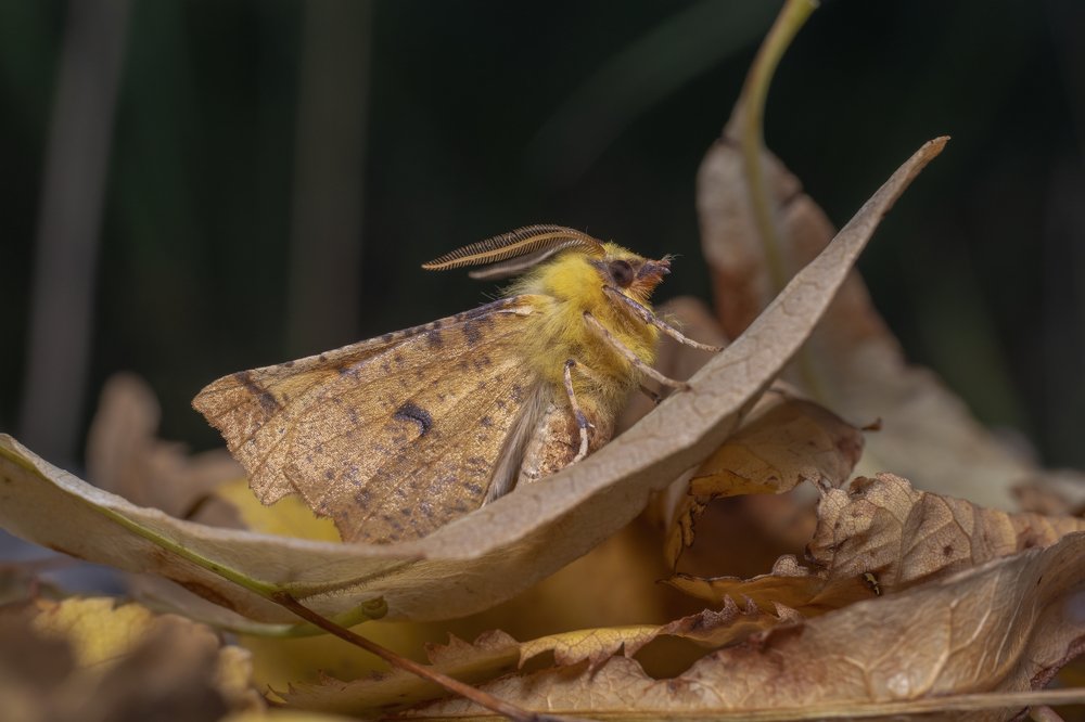 Фотография автора Eimar Kull