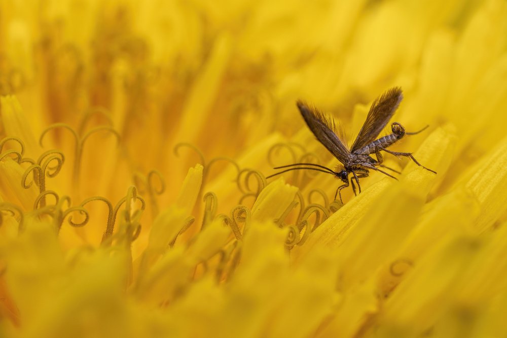 Фотография автора Eimar Kull