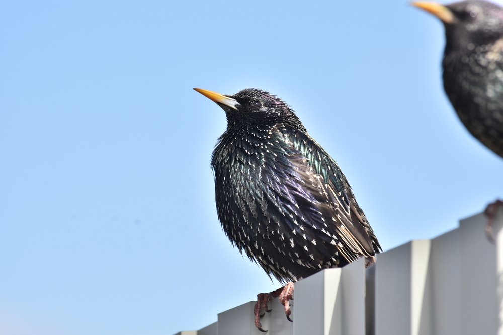 Photograph by Анна Муковозова