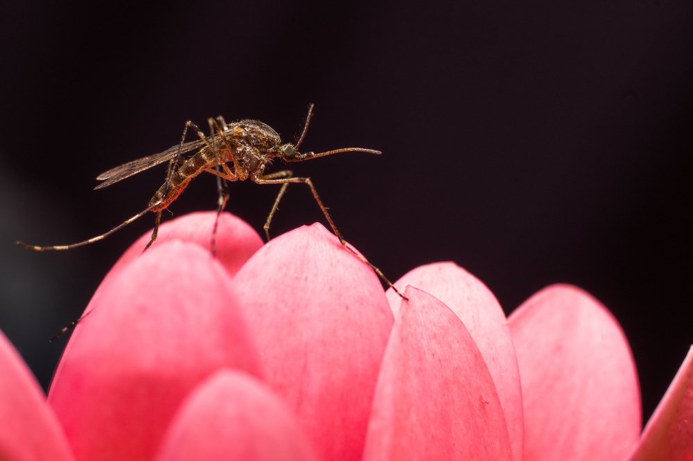 Фотография автора Eimar Kull