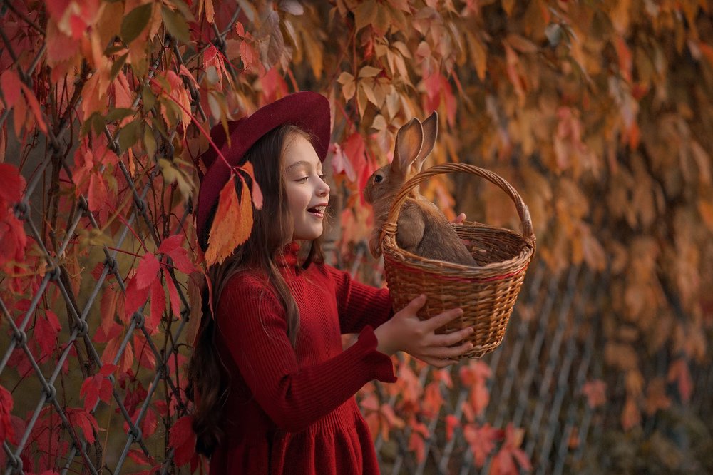 Фотография автора Елена Петрова