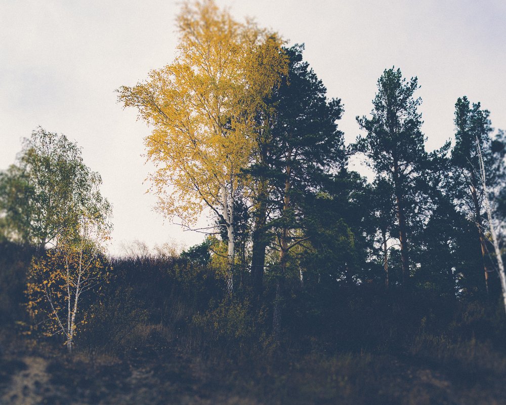 Photograph by Любовь Вострикова