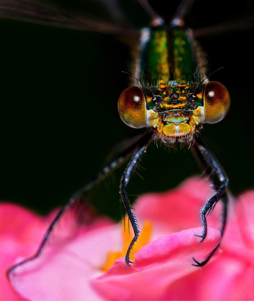 Photograph by Алёна Сурнина