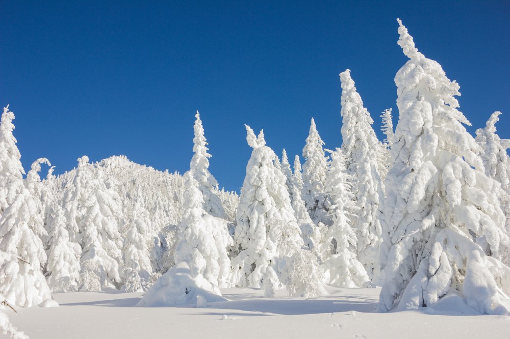 В гостях у Снежной королевы