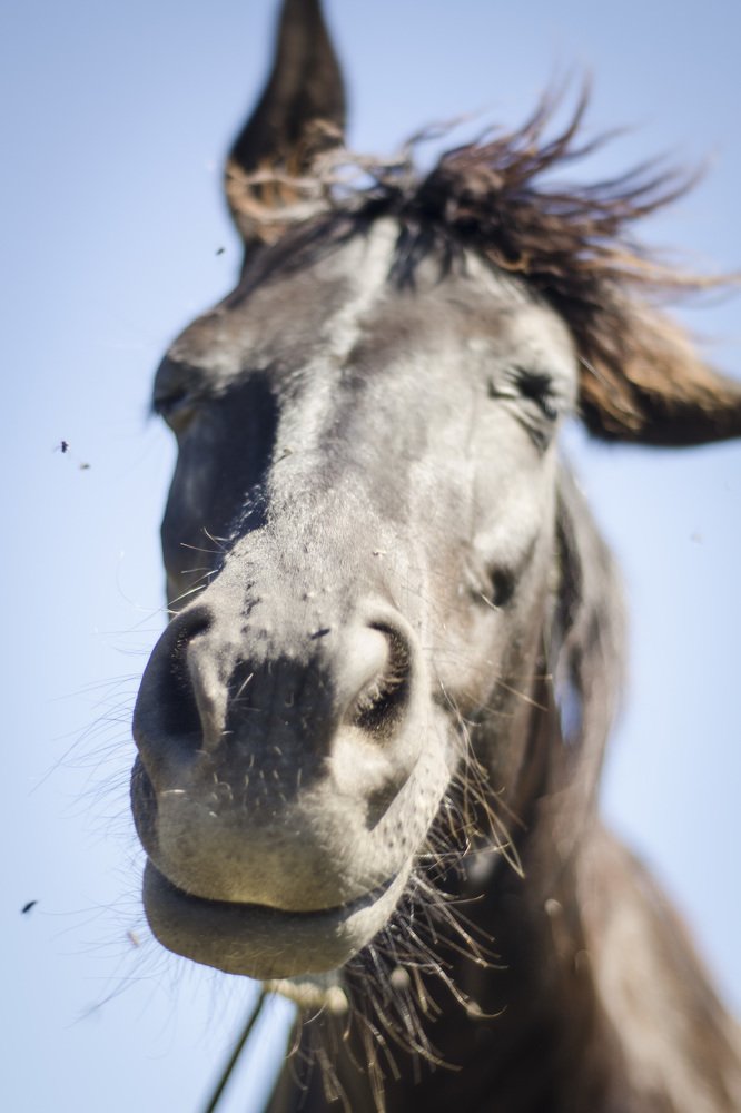 Photograph by Ольга Жогина