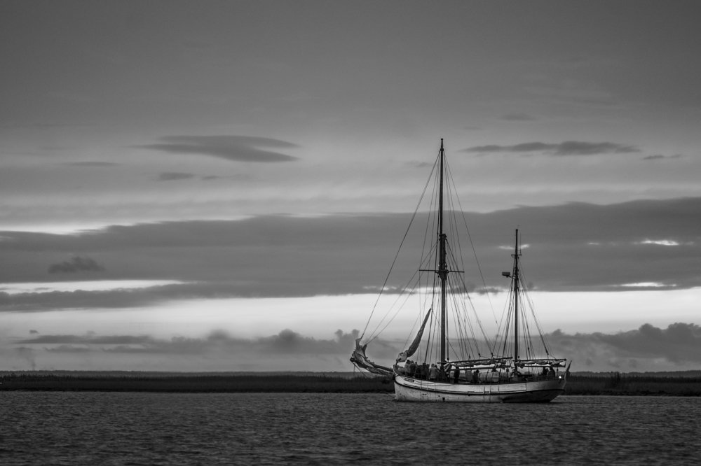 Фотография автора Eimar Kull