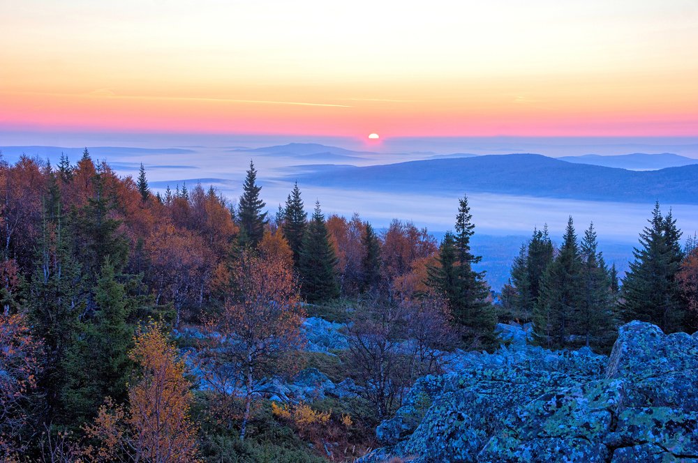 Новый день.