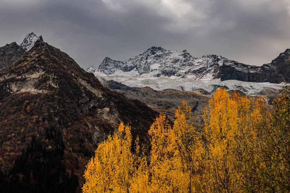 Золотая осень