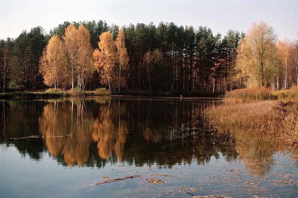 Photograph by Игорь Пшеничников