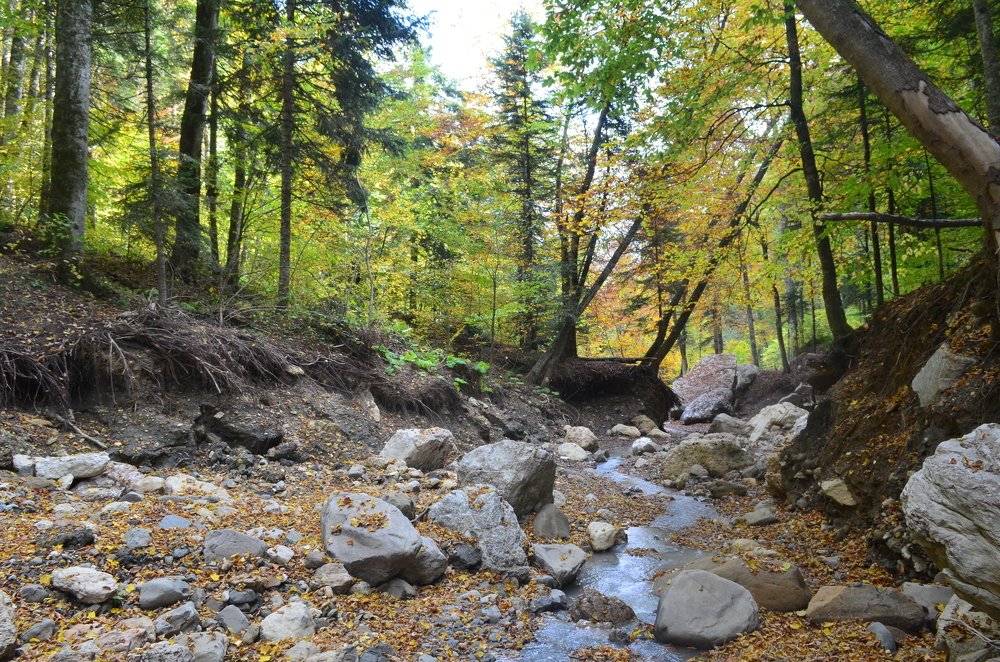 Photograph by Владимир Караман