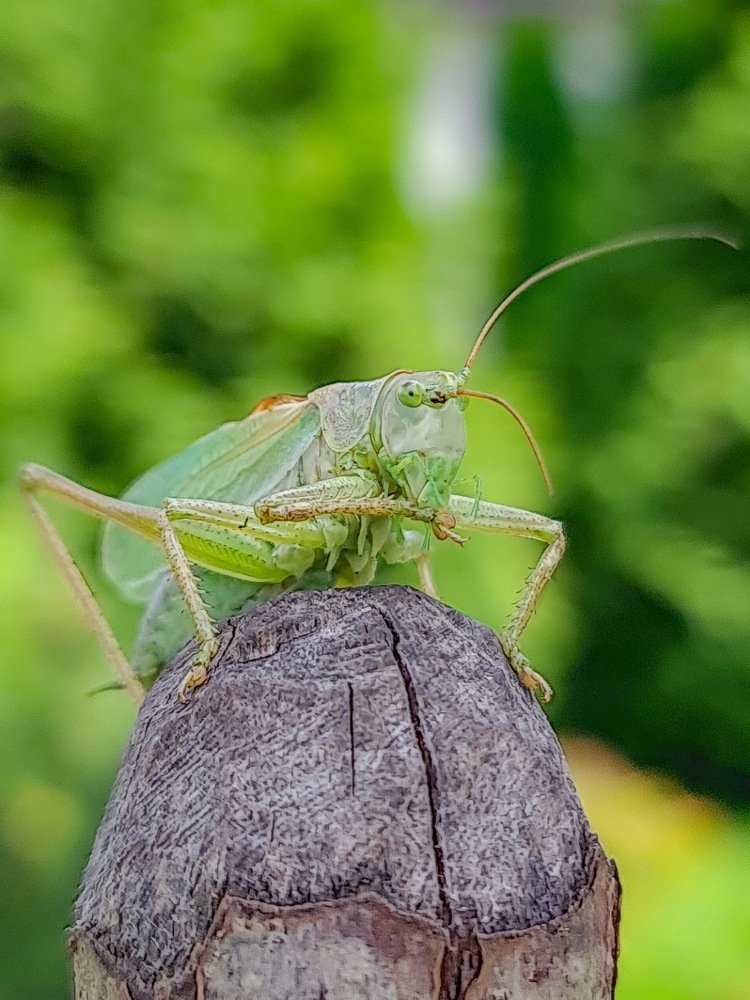 Photograph by Дарья Папсуева