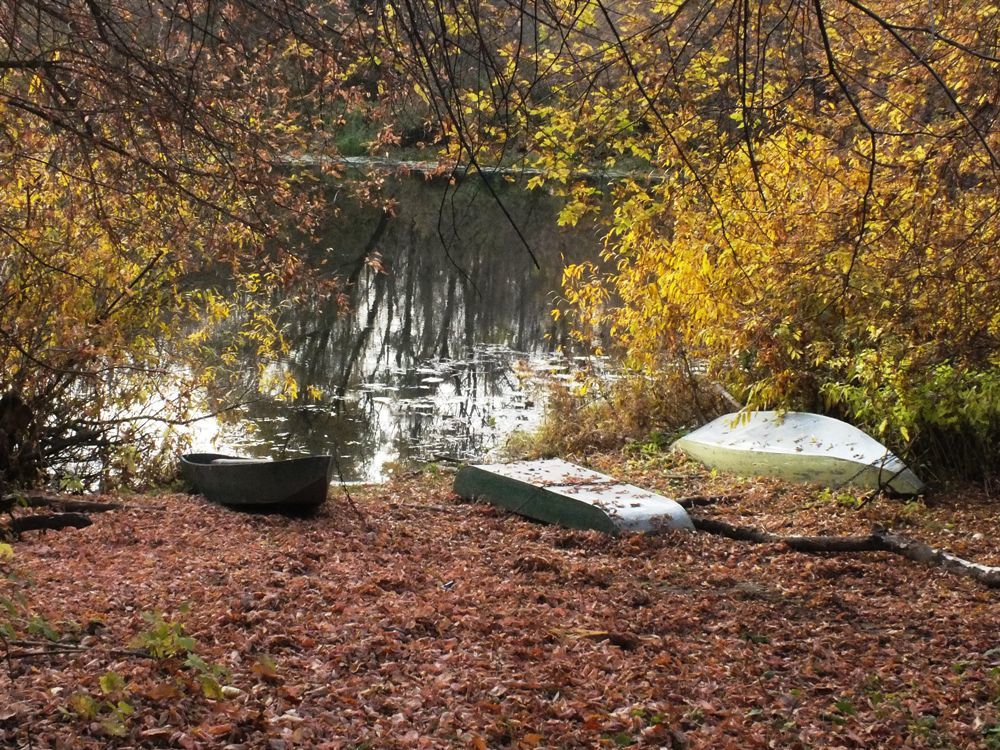 Photograph by Олег