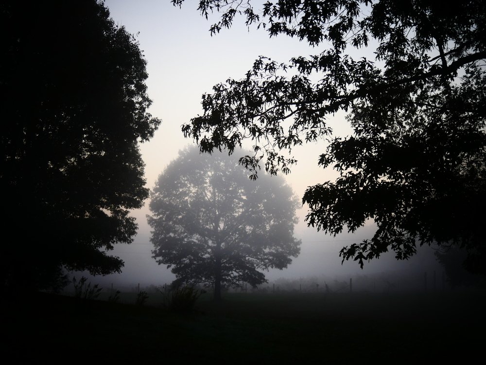 Октябрьские туманы.